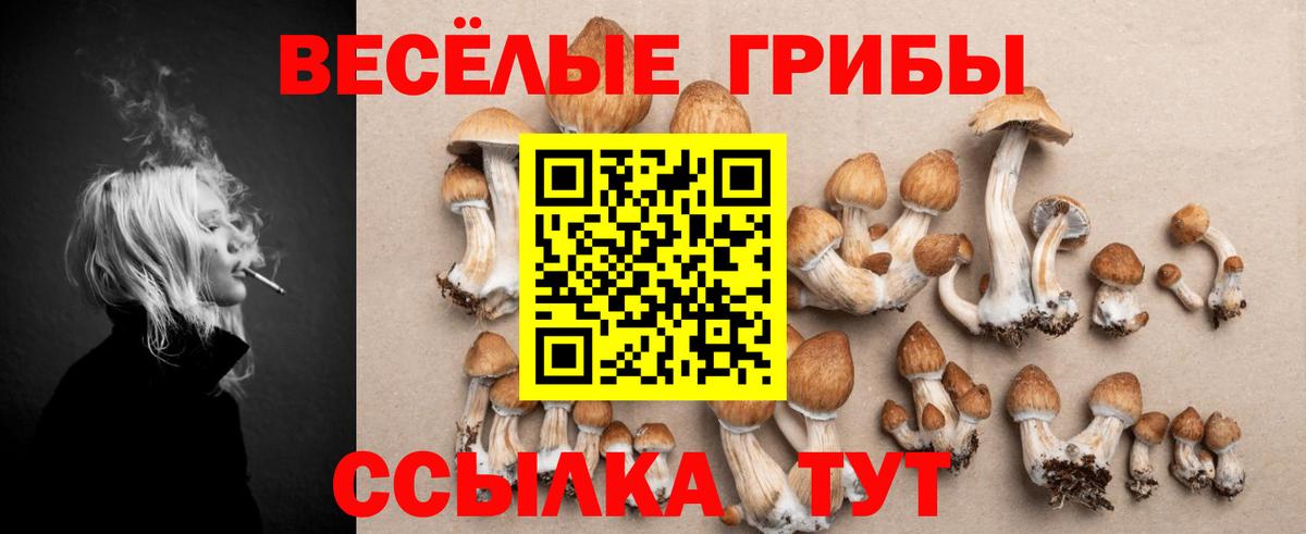 Галлюциногенные грибы Psilocybine cubensis  Вход с VPN  Белорецк 